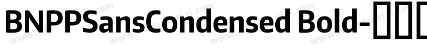 BNPPSansCondensed Bold字体转换